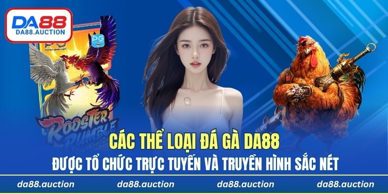 Các thể loại đá gà tại DA88 được tổ chức trực tuyến và truyền hình sắc nét