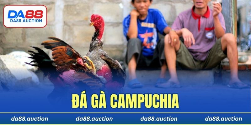 Đá gà Campuchia