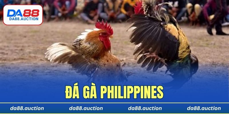Đá gà Philippines