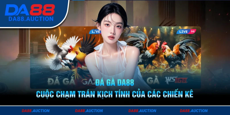 Đá gà DA88 - Cuộc chạm trán kịch tính của các chiến kê